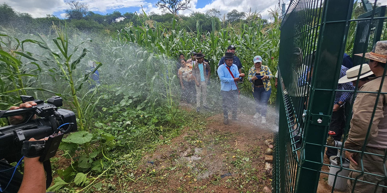 El agua de uno de los sistemas subterráneos entregados