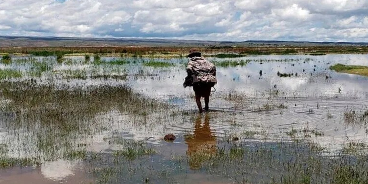 Cultivos en riesgo por las intensas lluvias en Bolivia. Foto: RRSS