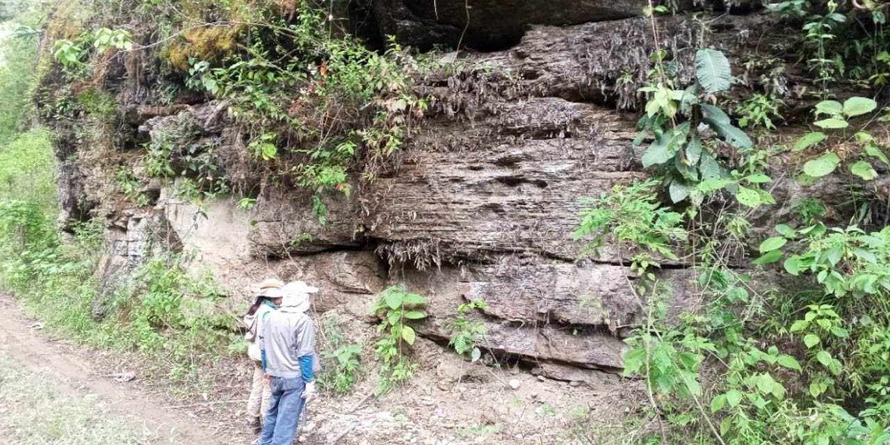 Sergeomin identifica estructuras mineralizadas de oro, polimetálicos, hierro y caliza. Foto: Comibol