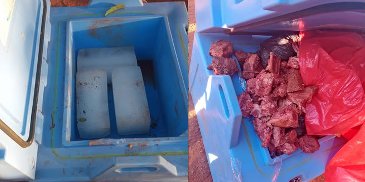 La cadena de frío que llevaba las vacunas fue violentada para colocar carne.