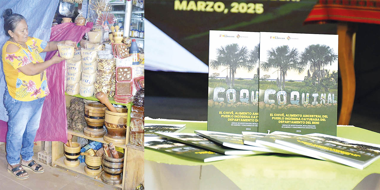 El chivé, preparado a partir de la yuca, es considerado mucho más que un alimento básico para los cayubaba; es una manifestación de su identidad cultural y es muy popular en la región. 