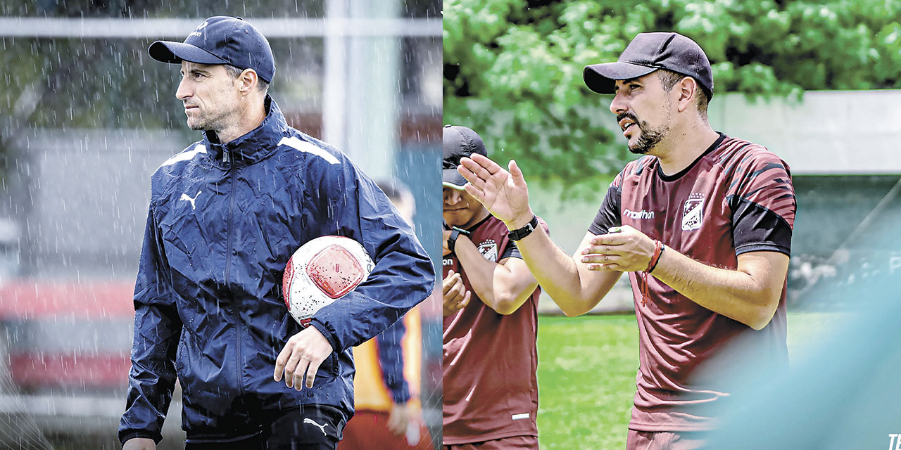 Luciano Theiler y Rodrigo Venegas.