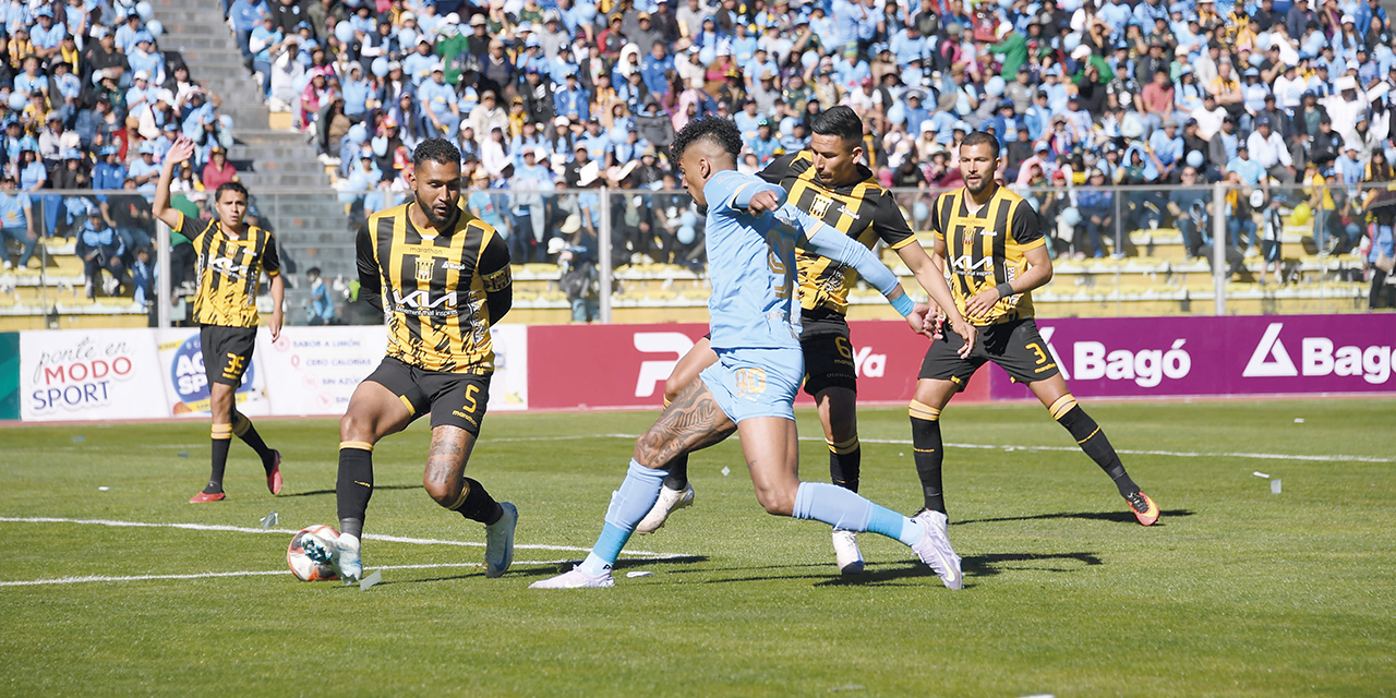 Tigre23063