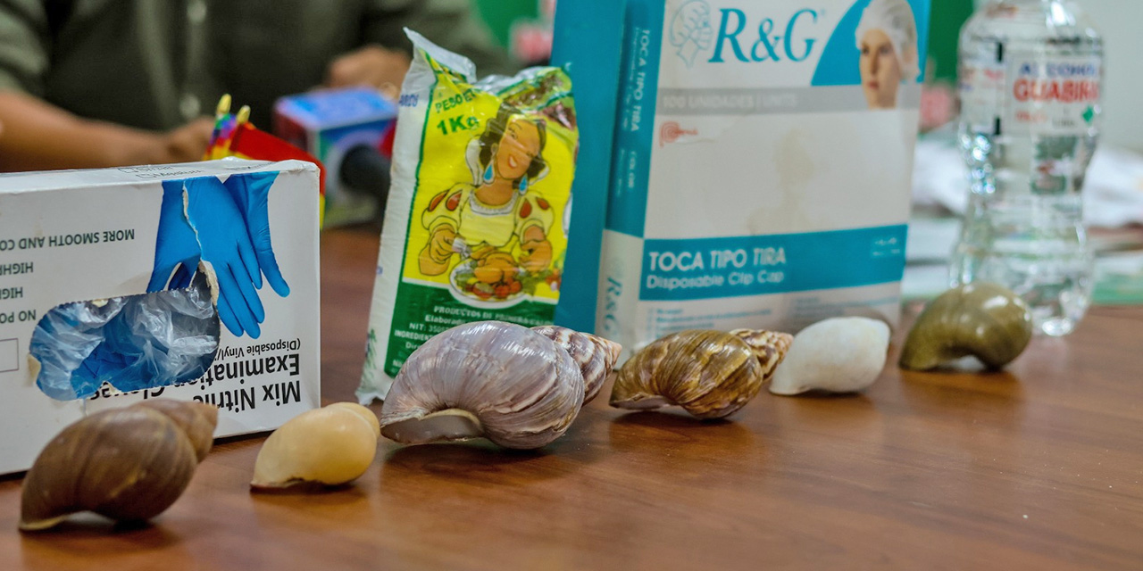 El Senasag comienza su campaña fitosanitaria 2025 en Trinidad, Beni