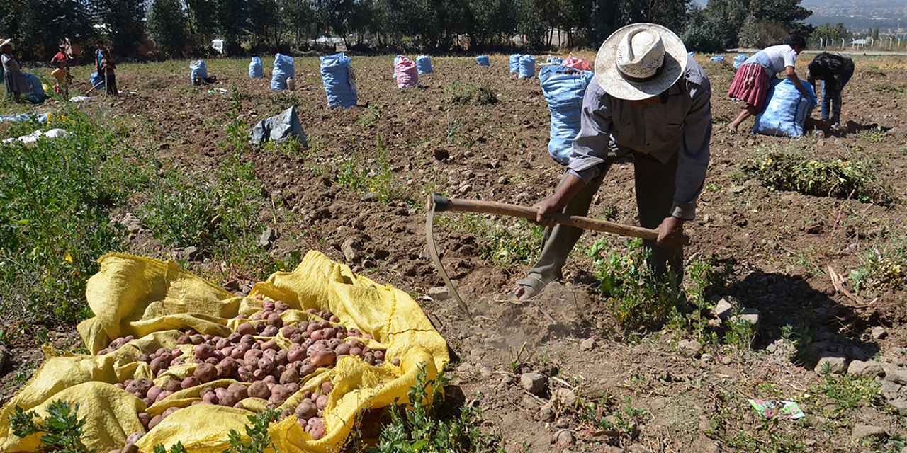 Se garantiza la seguridad alimentaria pese al daño por desastres naturales