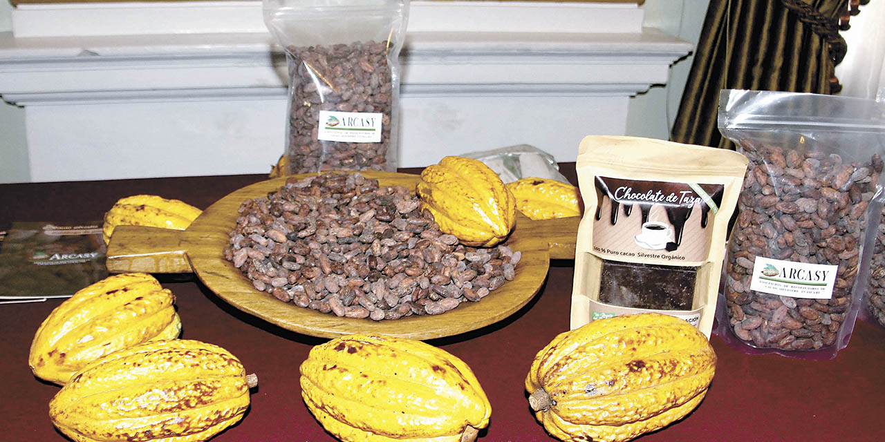 El cacao en su estado natural junto a una barra de chocolate. 