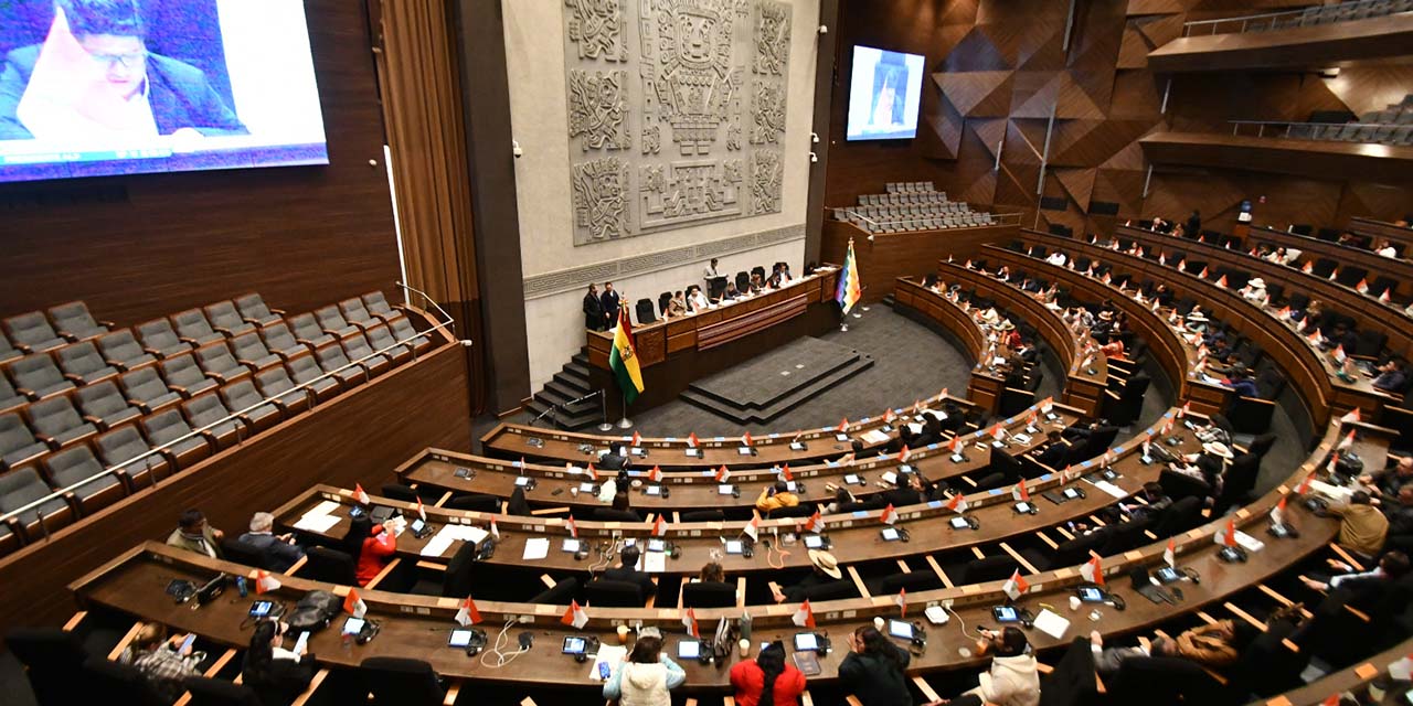 Una sesión en la Asamblea Legislativa Plurinacional.