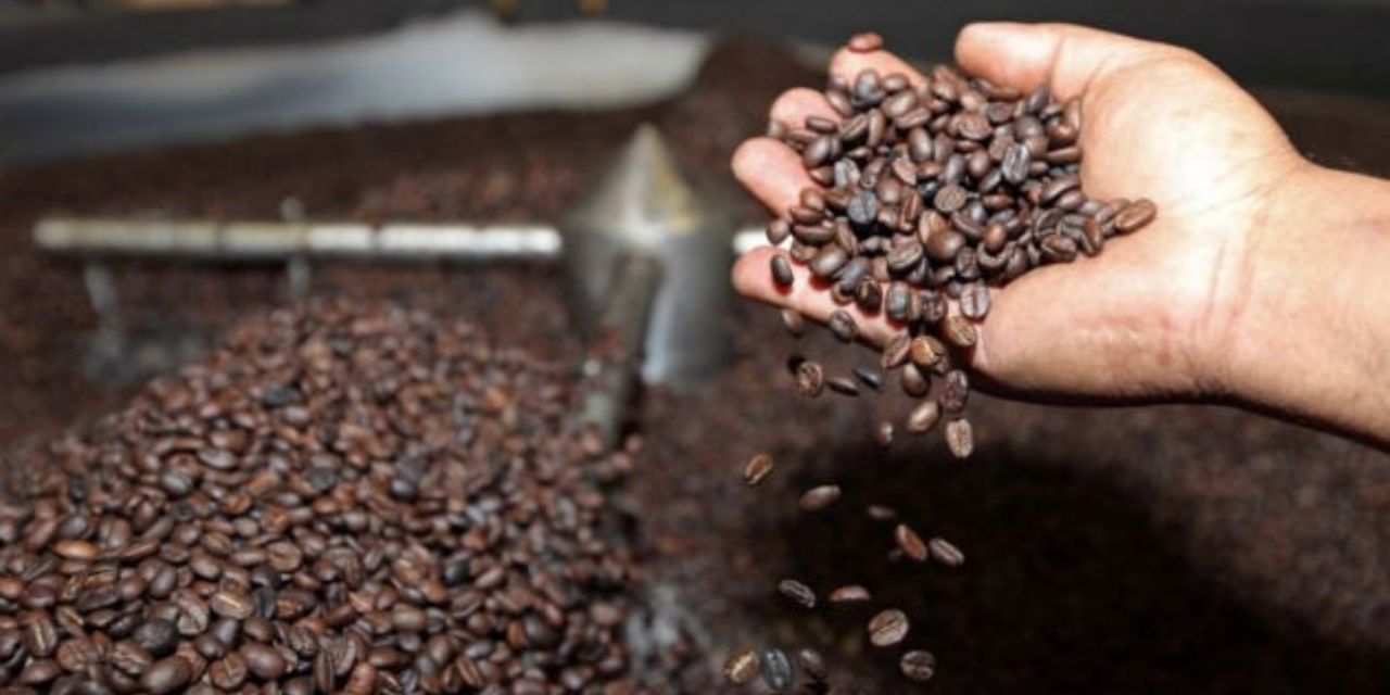 Los granos de café boliviano son sujetos a procesos cuidadosos de producción.