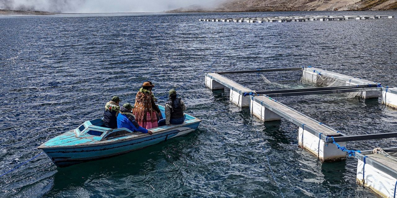 Entregan jaulas flotantes e insumos para fortalecer la producción de trucha en Malla