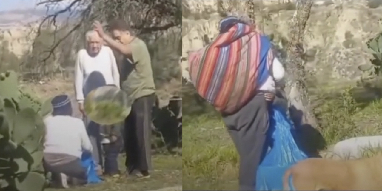 Mujer y niño fueron agredidos por recoger tunas