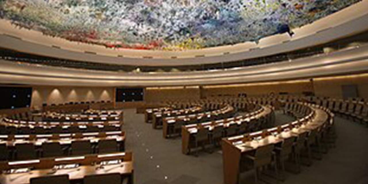 El Consejo de Derechos Humanos de la Organización de Naciones Unidas.