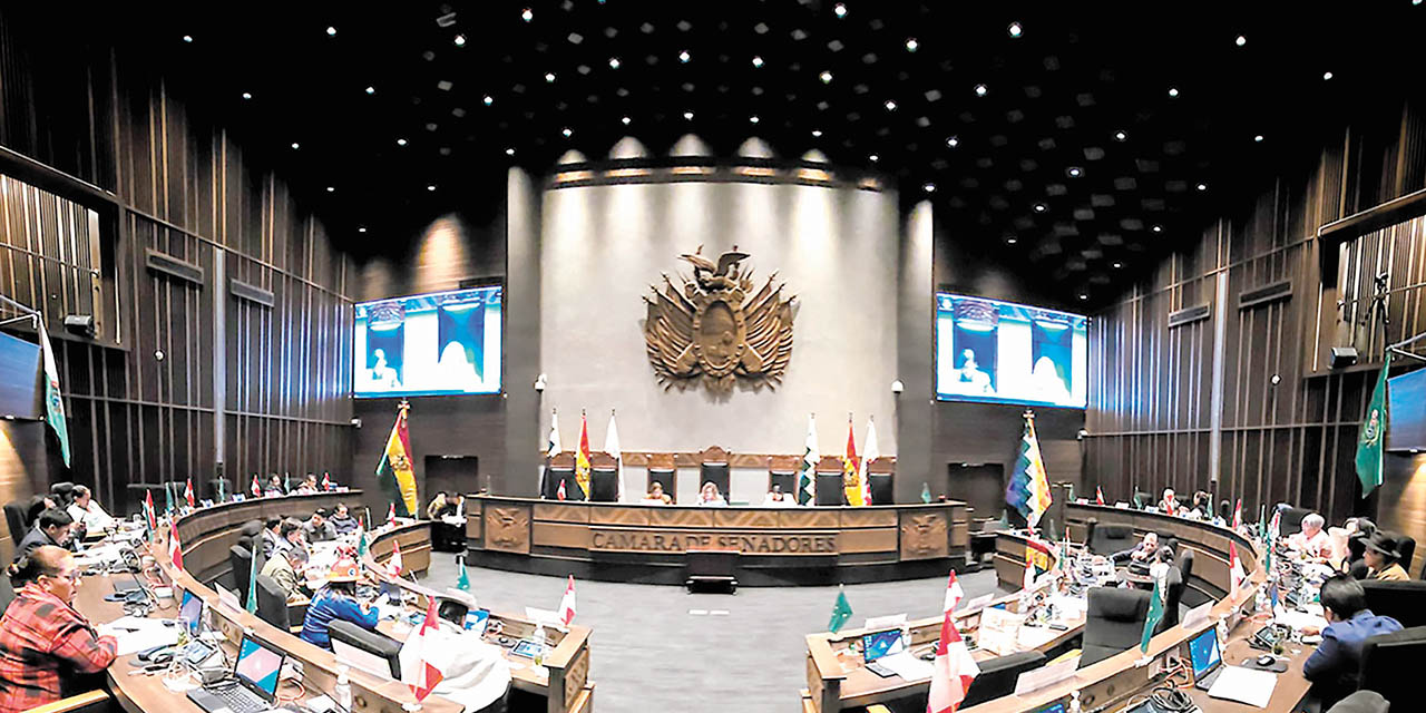 Una sesión en la Cámara de Senadores.