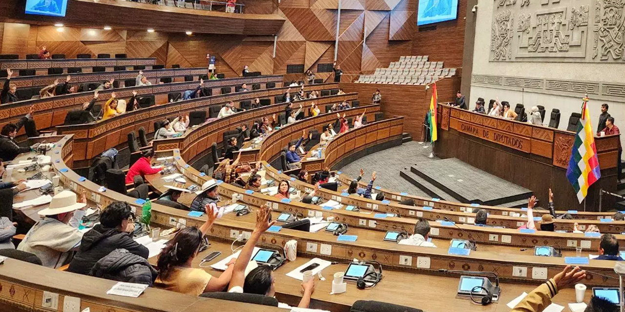 Está en manos del Senado sancionar dos leyes electorales y garantizar los comicios