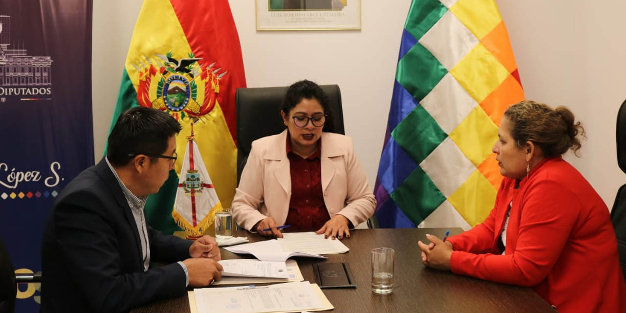 La sesión del Comité de Democracia y Sistema Electoral de la Comisión de Constitución de Diputados. Foto: Facebook Blanca López
