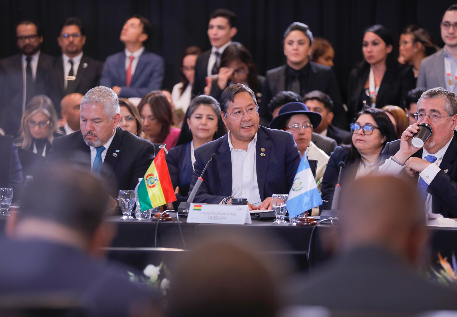ARCE CELAC 3 100425