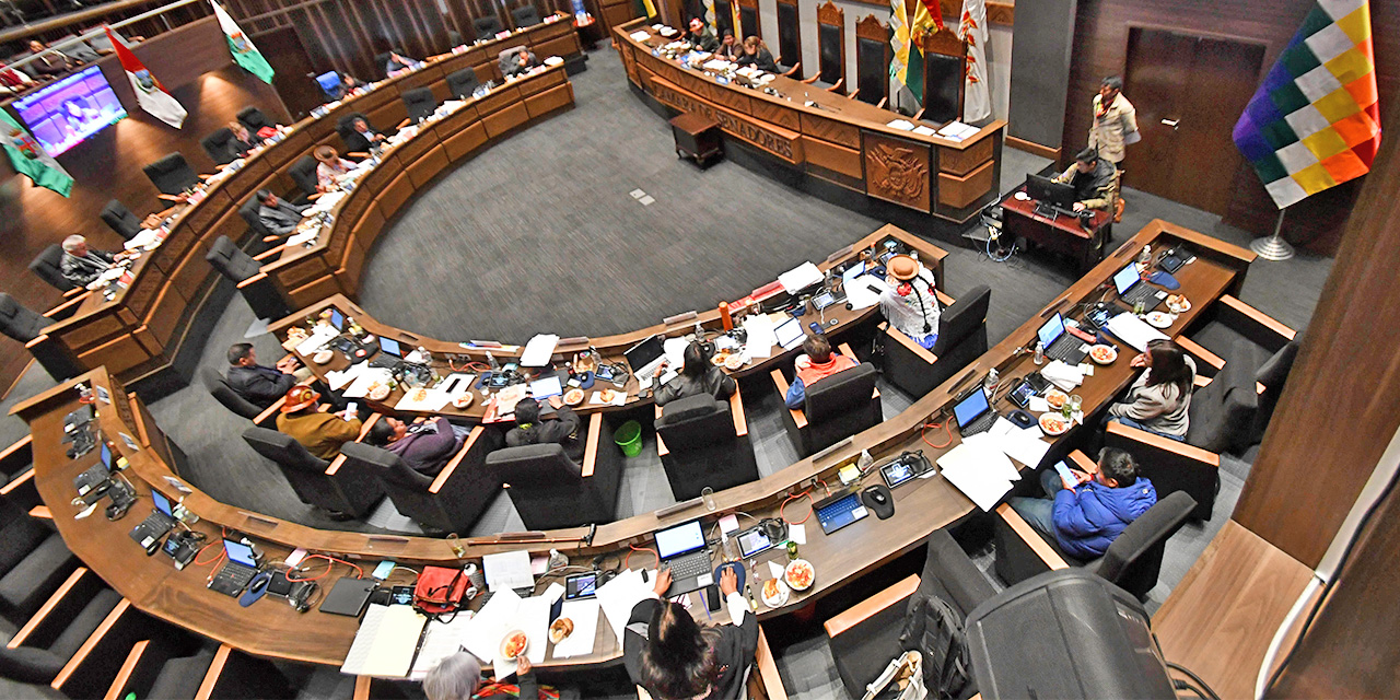 El Senado sancionó durante seis meses solo dos leyes de créditos de inversión