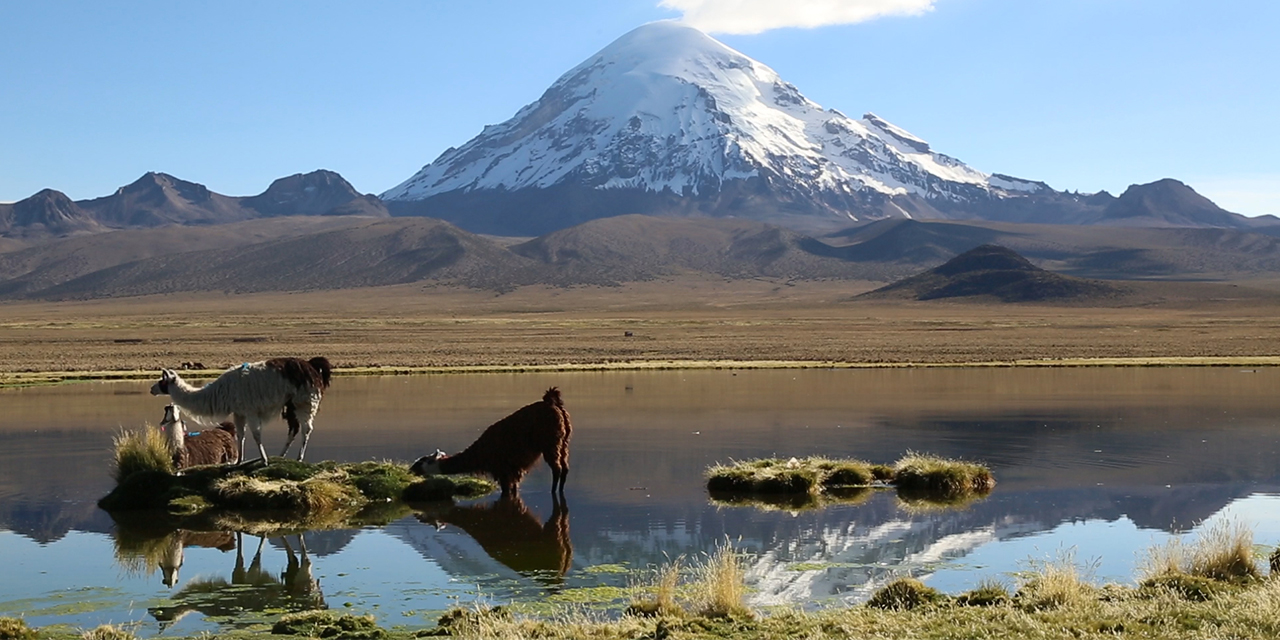 El Sajama, un tesoro de Oruro para el mundo