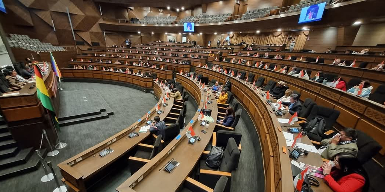 Una de las últimas sesiones de la Asamblea Legislativa Plurinacional. Foto: VE