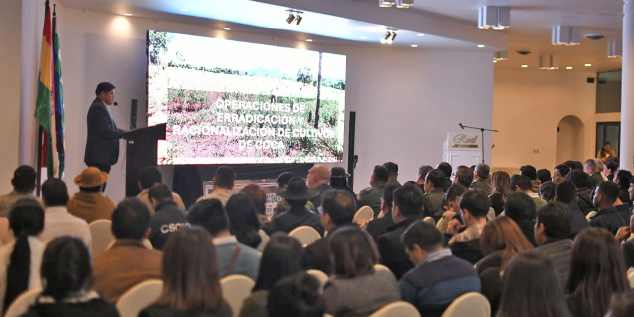 El 72% de cultivos de coca erradicados el año pasado corresponden al Chapare