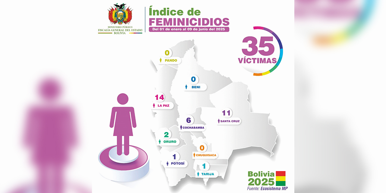 Datos sobre los hechos de feminicidio en el país, desde enero.