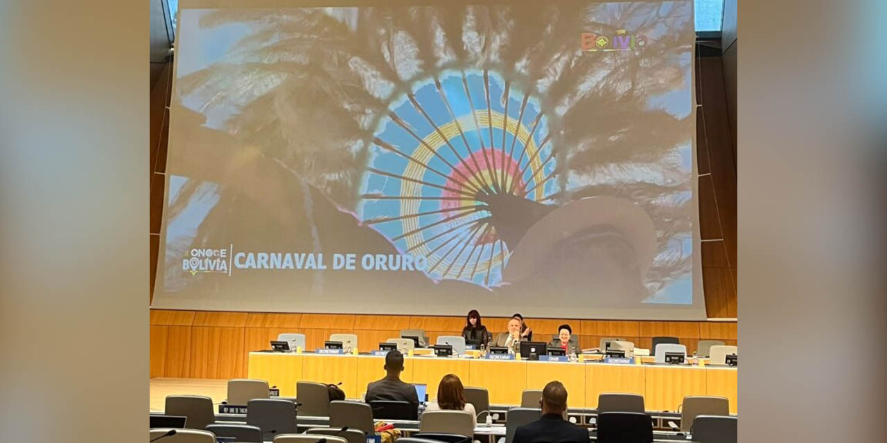 La exposición del proyecto boliviano en Ginebra