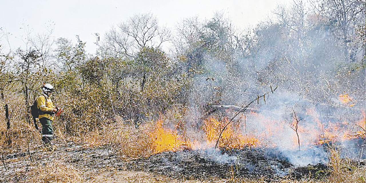 Bomberos apagan las llamas para controlar los incendios forestales.