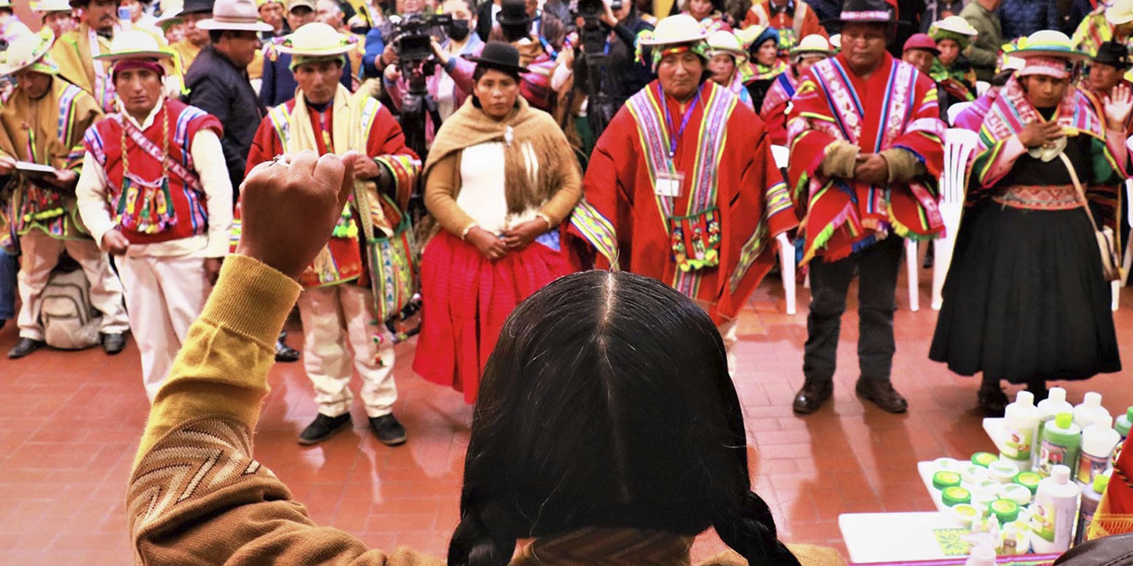 Miembros del Comité, durante su juramentación oficial. 