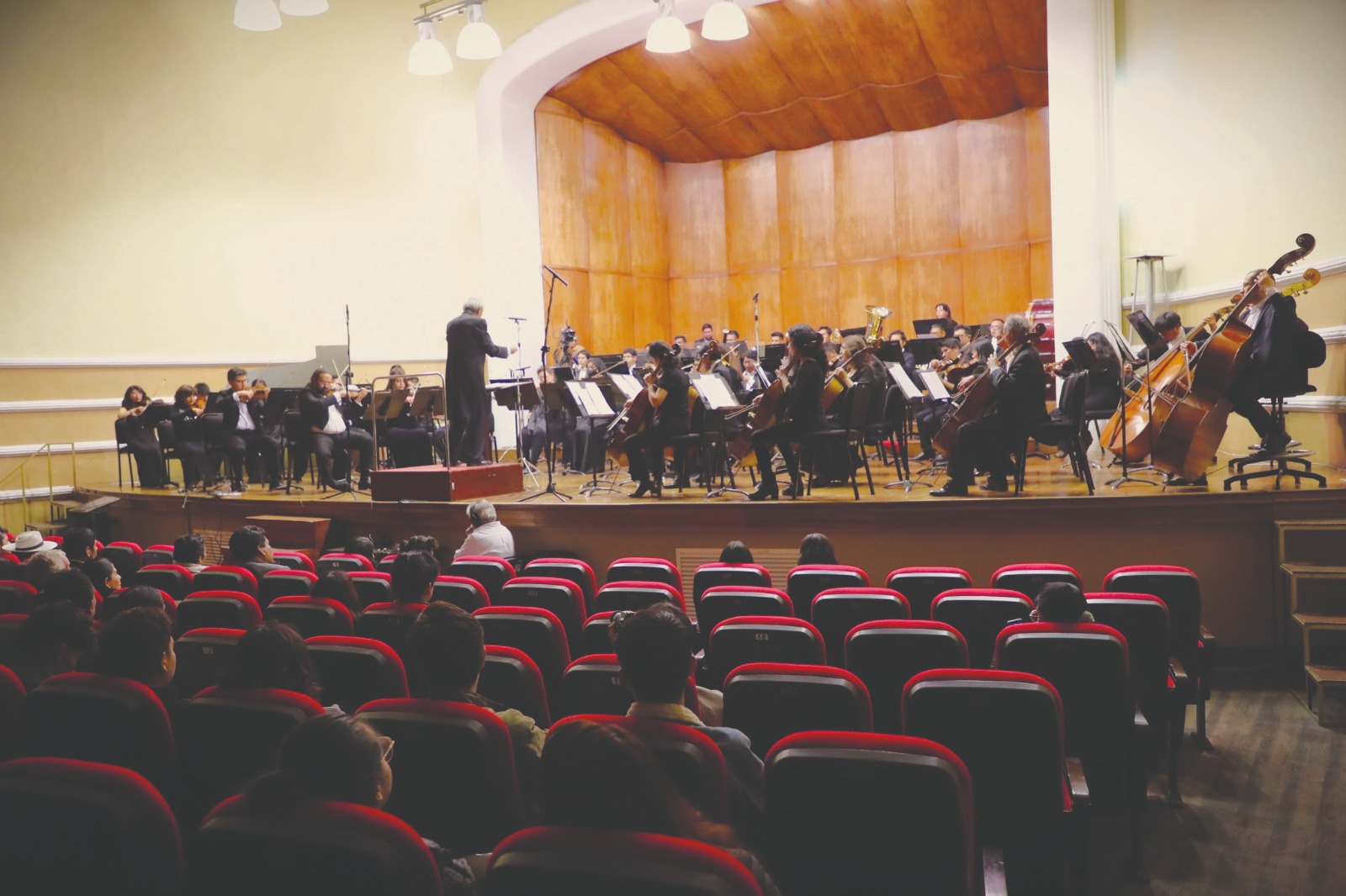 Violinista2290923