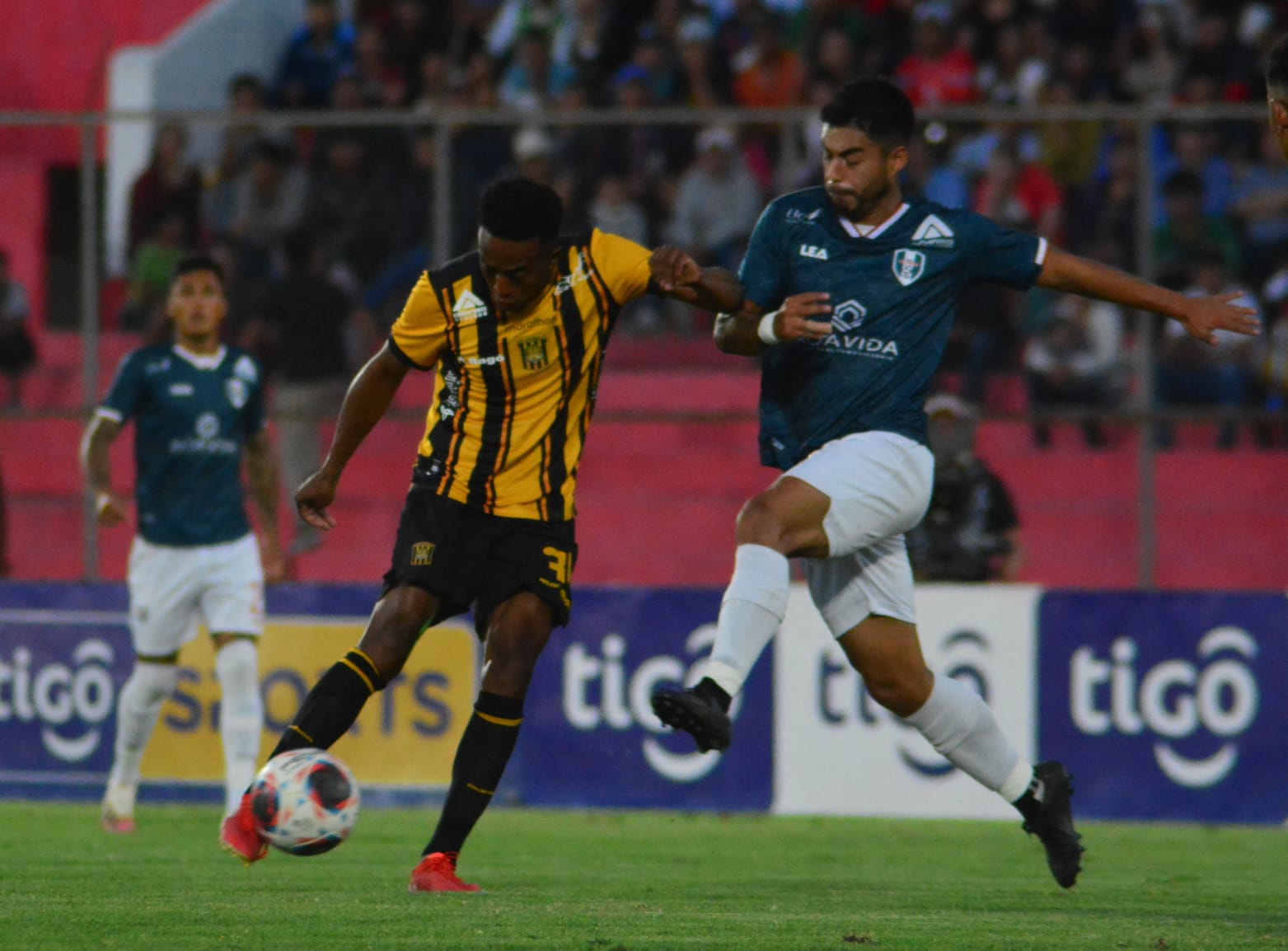 Tigre0708 1