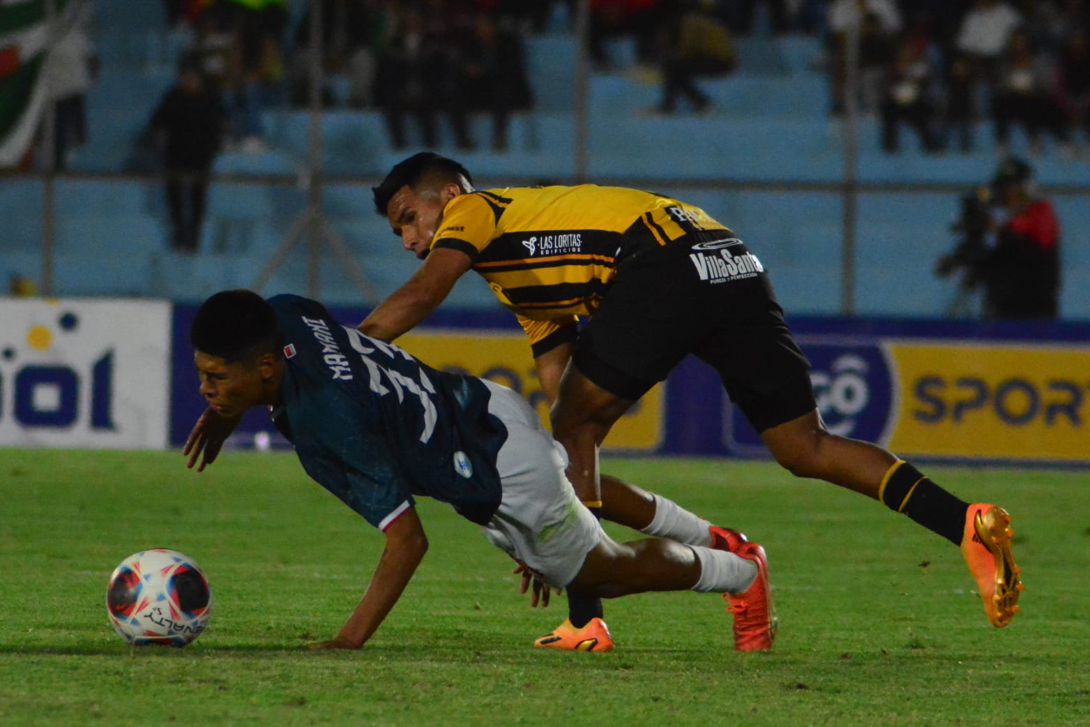 Tigre0708 2