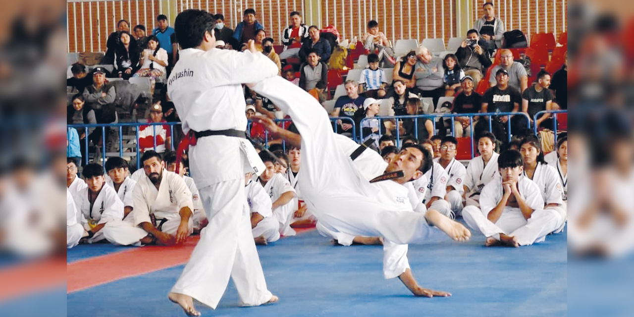 La disciplina del karate tendrá su encuentro en La Paz. | Foto: Feboka