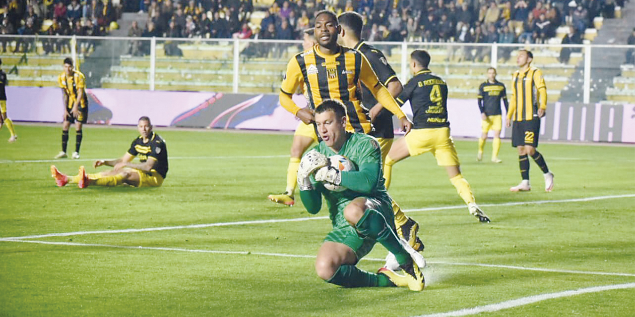 Tigre22082