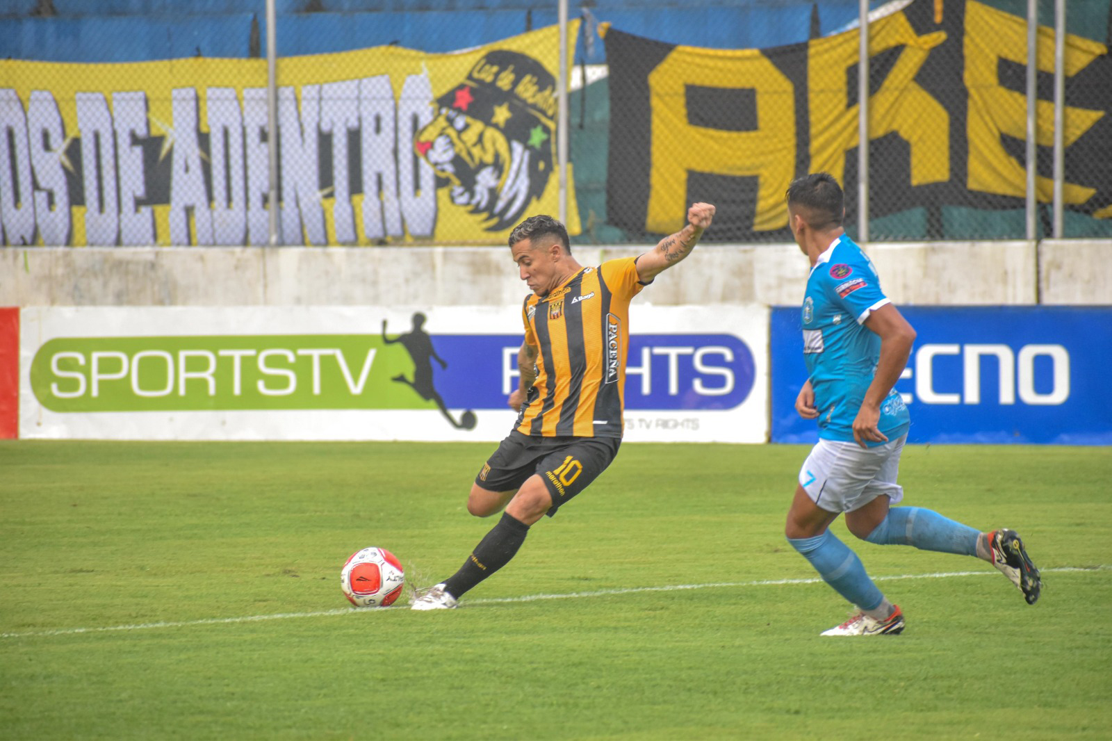 Tigre 2 1524