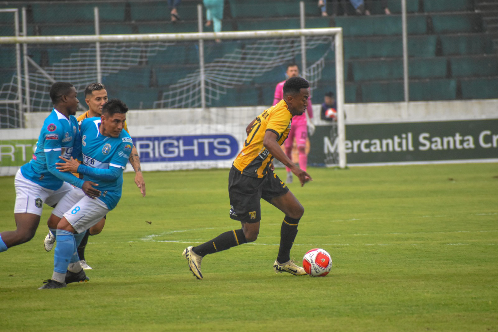 Tigre 3 1524