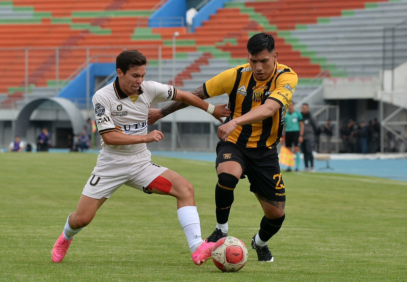 Tigre 2 2724