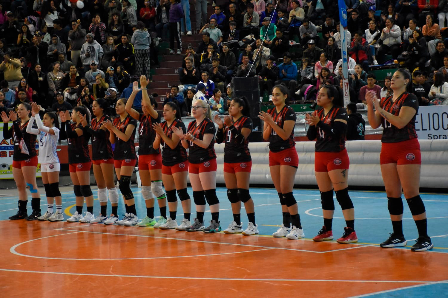 Voley 2 2624