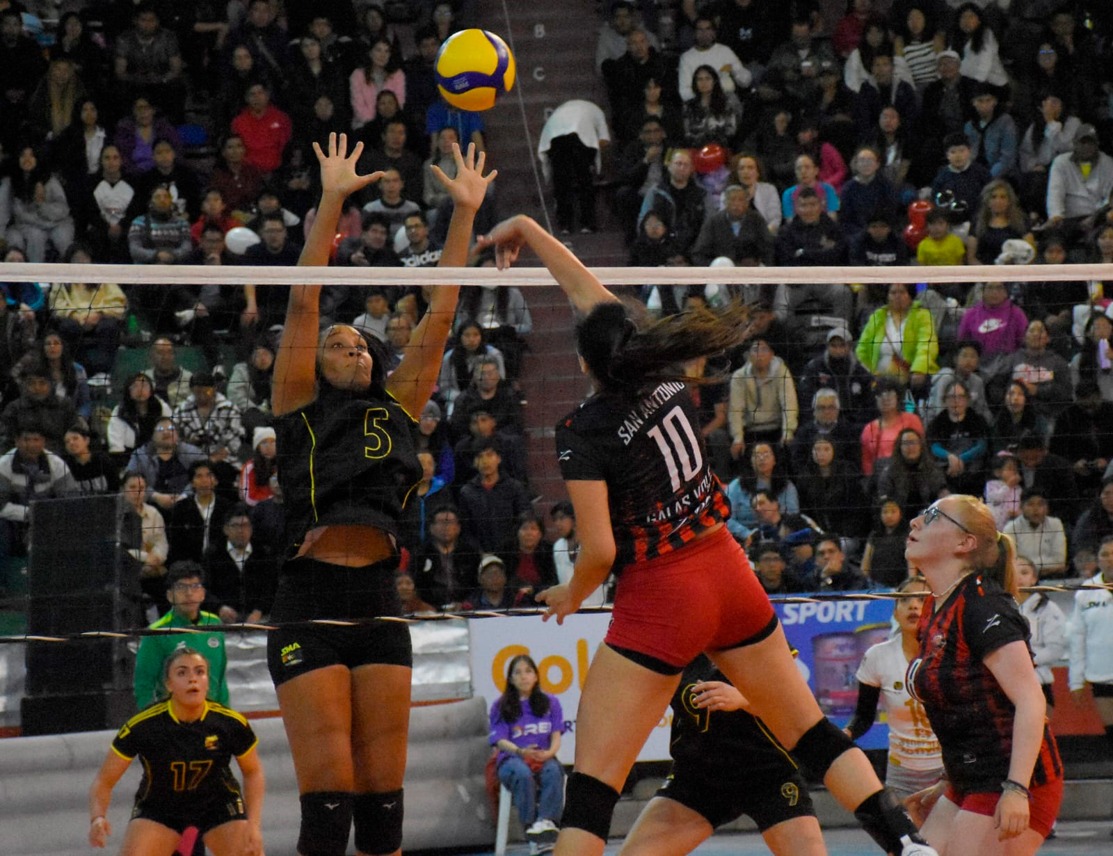 Voley 4 2624