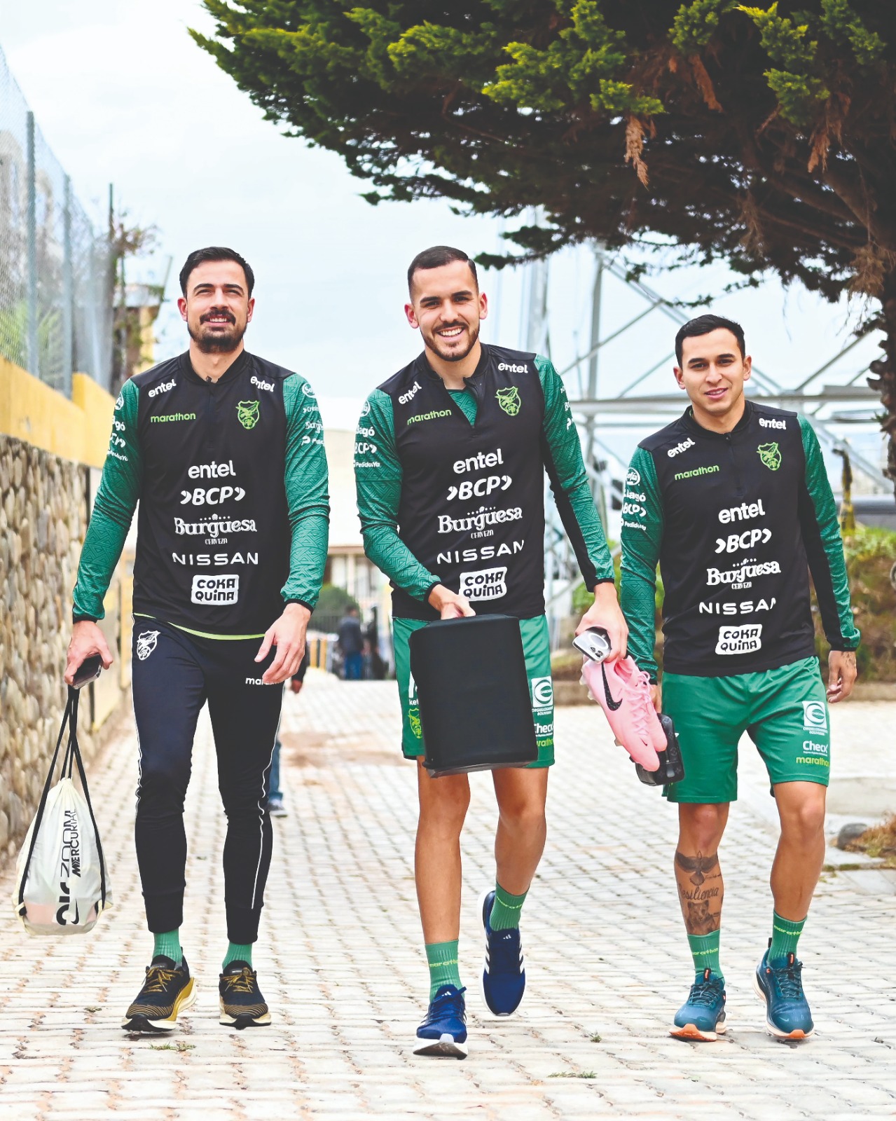 AspiracionesVerde411242