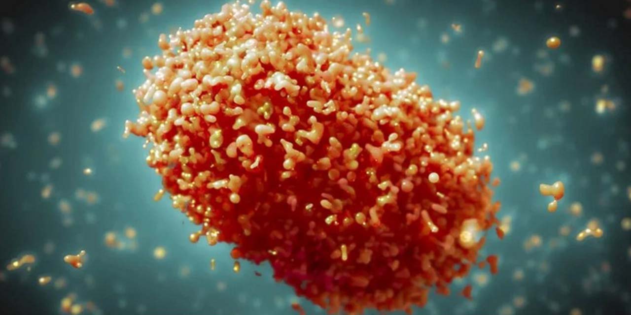 El brote multinacional de mpox ya no representa una emergencia de salud pública. | Foto: OMS