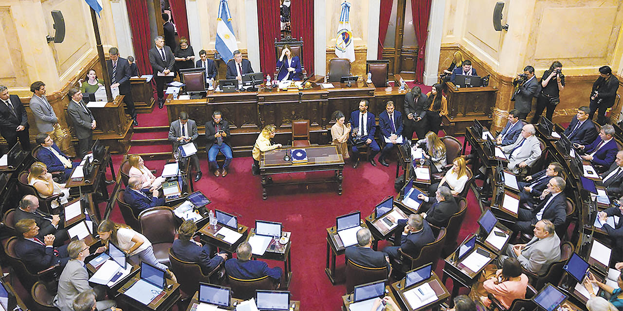 La vicepresidenta de Argentina, Victoria Villarruel, encabeza una sesión extraordinaria en el Senado de Buenos Aires. | Foto: RT