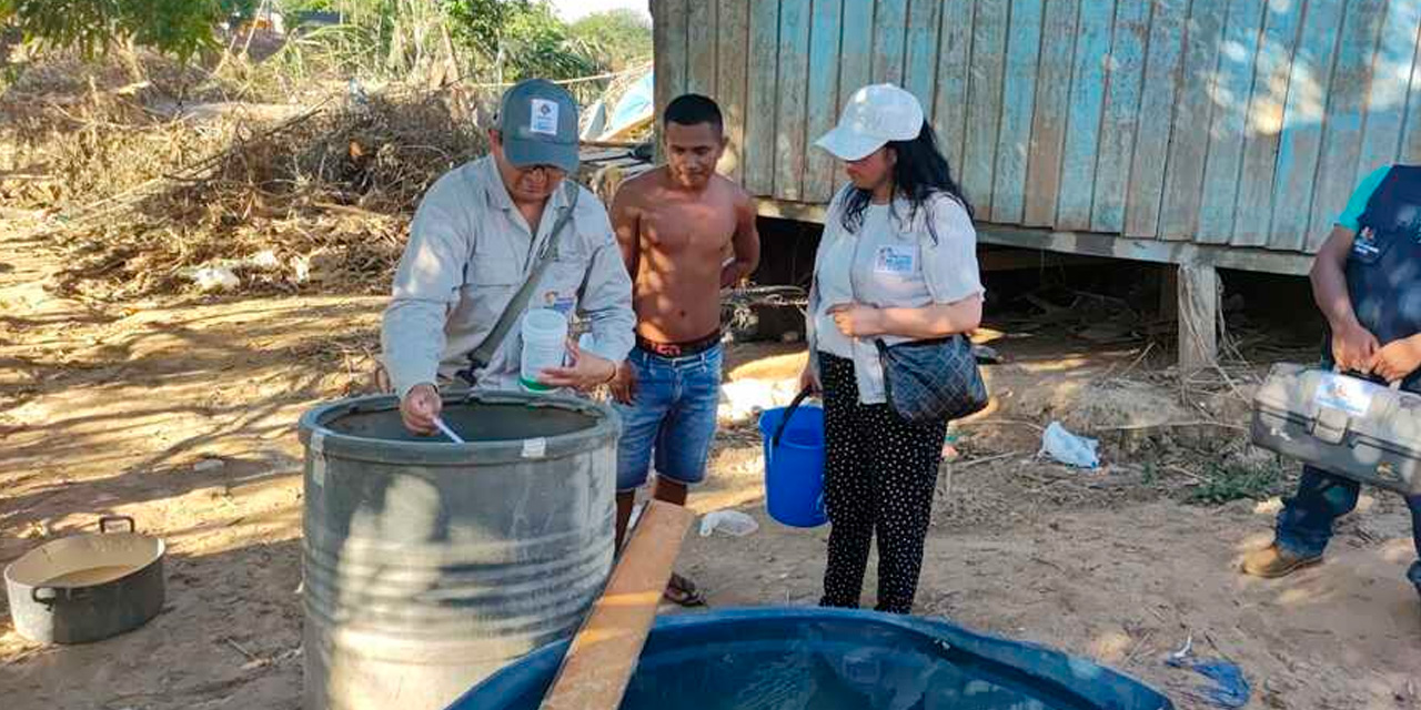 Eliminación de criaderos de mosquitos. Foto: Min. Salud
