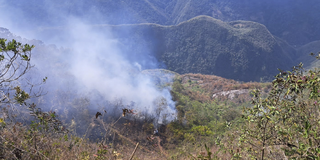 El fuego en el Parque Nacional Cotapata. | Foto: Alcaldía de Coroico