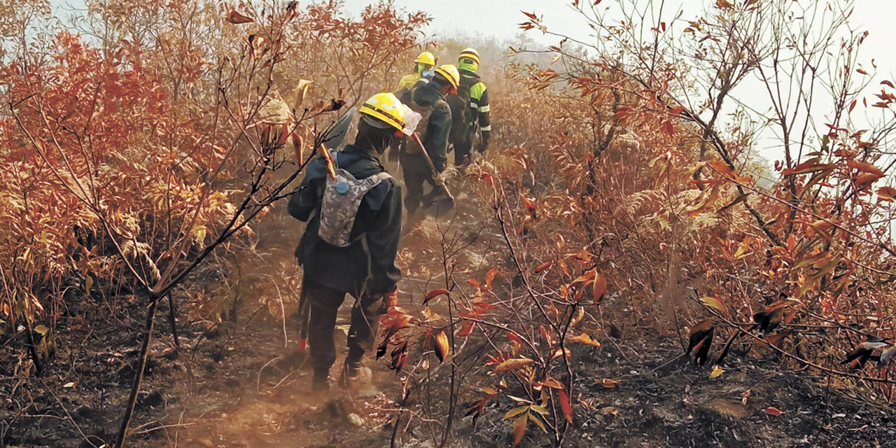 Labores de sofocación del fuego en La Paz. | Foto: Vicemin. De Defensa