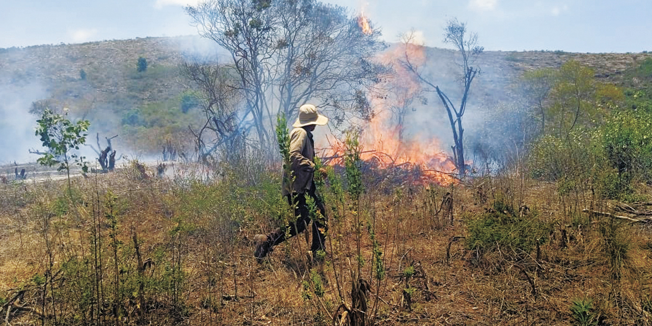 La provocación de incendios tiene sanción penal. Foto: Eduardo Del Castillo