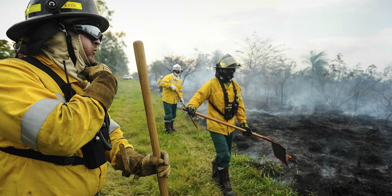 El Comando Conjunto sofoca un incendio forestal en el departamento de Santa Cruz.