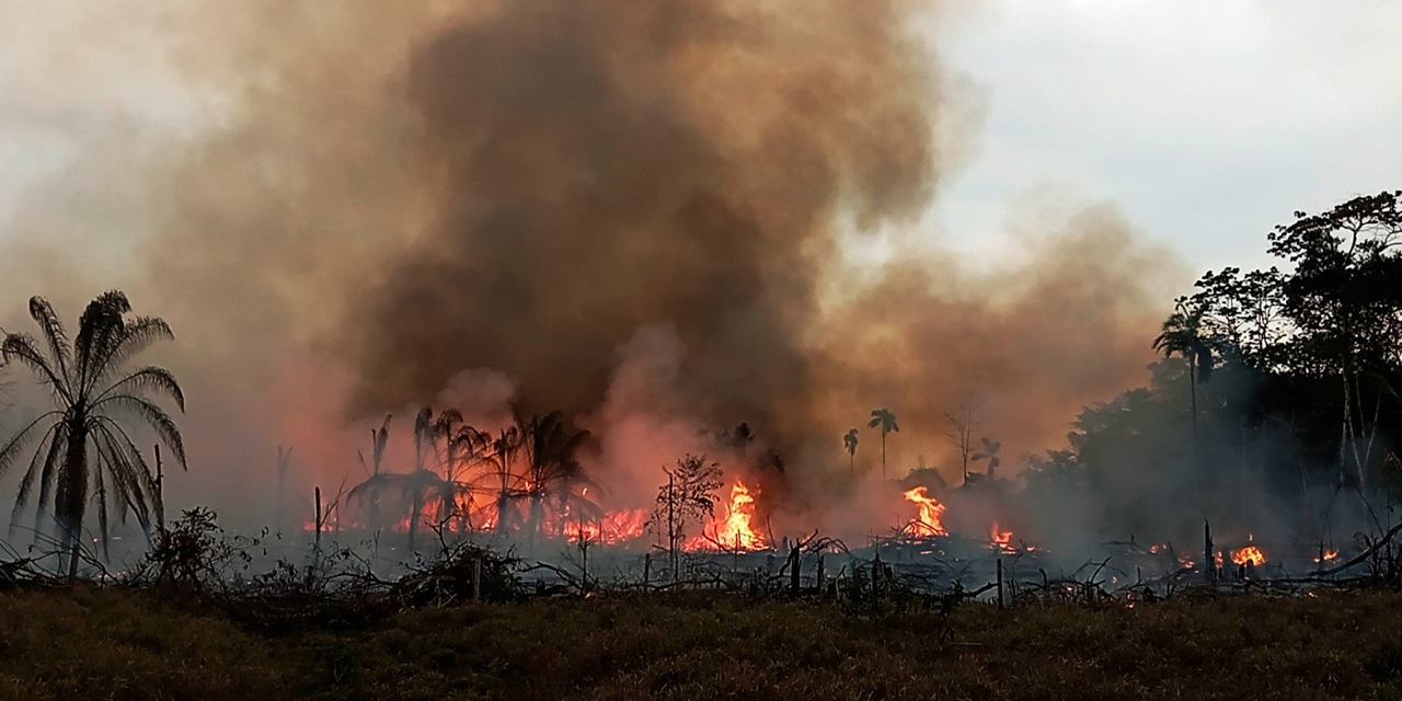 Efectivos militares controlan el fuego en Buena Vista
