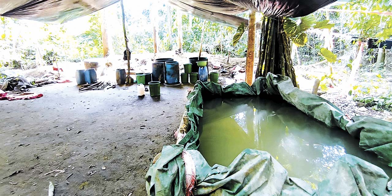 Vista de una de las fábricas de cocaína. | Foto: Ministerio de Gobierno