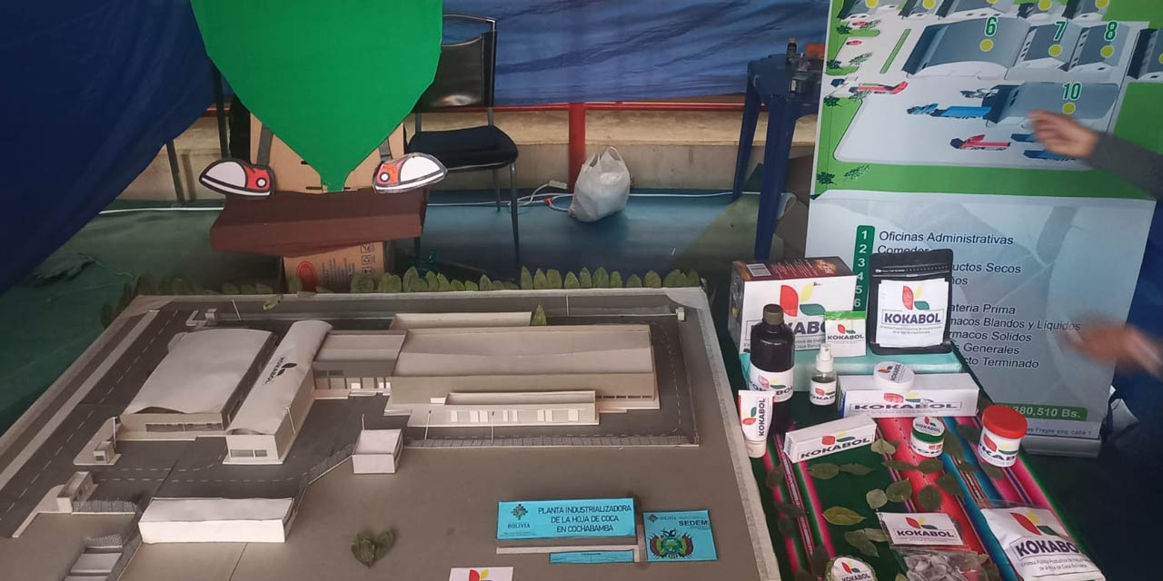 Cuatro líneas de producción tendrá la estatal, todas a base de coca.  Foto: Kokabol