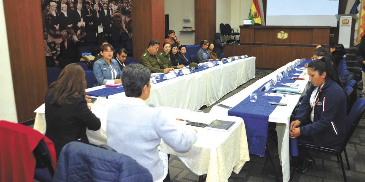 Segunda Sesión Ordinaria del Consejo Plurinacional contra la Trata y Tráfico de Personas  de 2023. | Foto: MJ