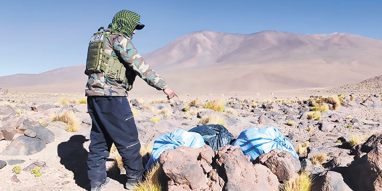 La marihuana en tres bolsas de yute. Foto: Gobierno